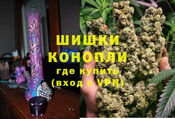 2c-b Новозыбков