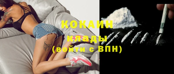 2c-b Новозыбков