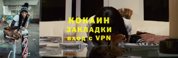 2c-b Новозыбков