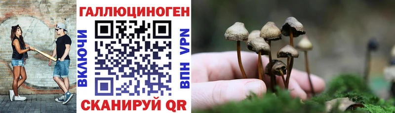 Галлюциногенные грибы прущие грибы Новопавловск
