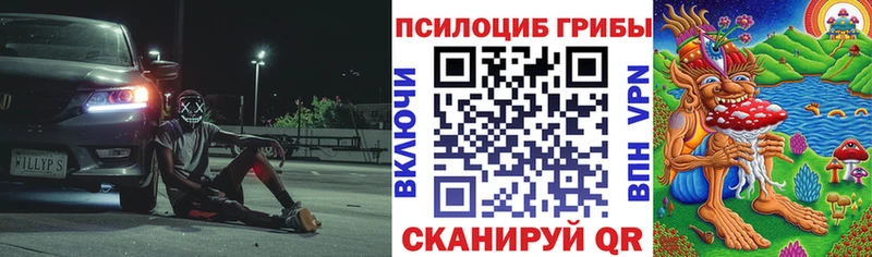 blacksprut зеркало  Новопавловск  Галлюциногенные грибы Psilocybine cubensis 